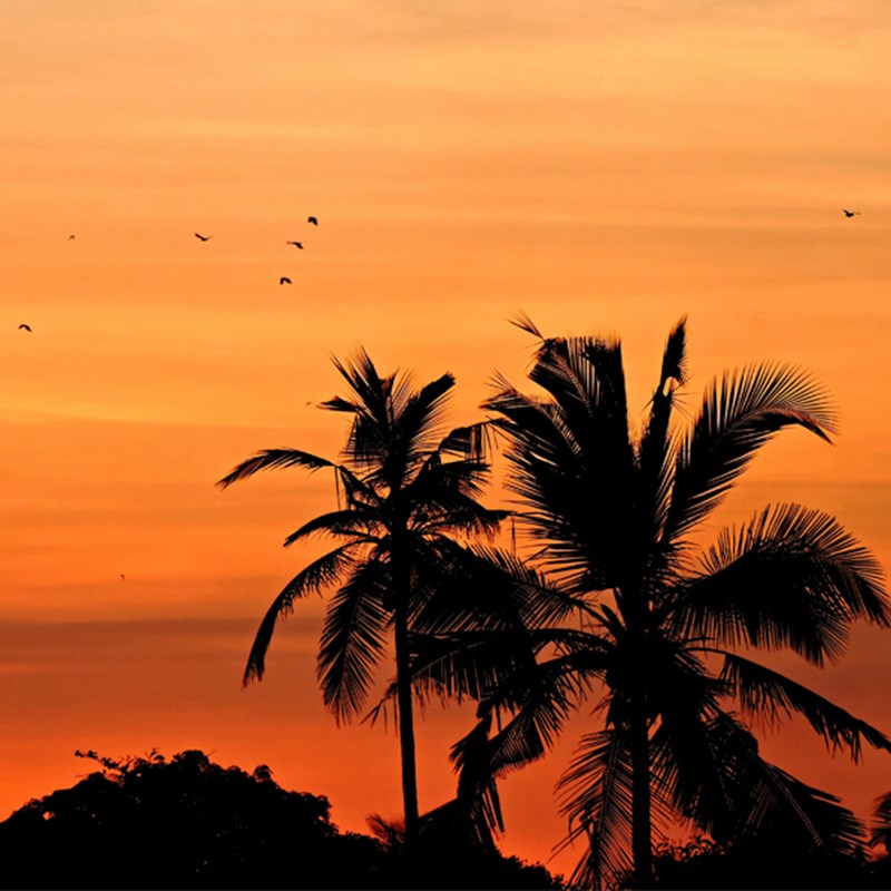 Sri lanka sunset